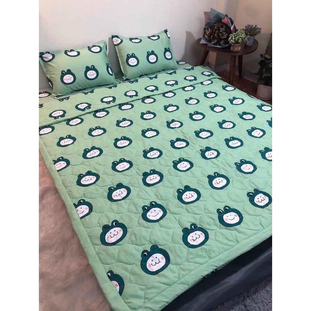 COMBO 2 BỘ GA GỐI MẪU NGỰA BAY