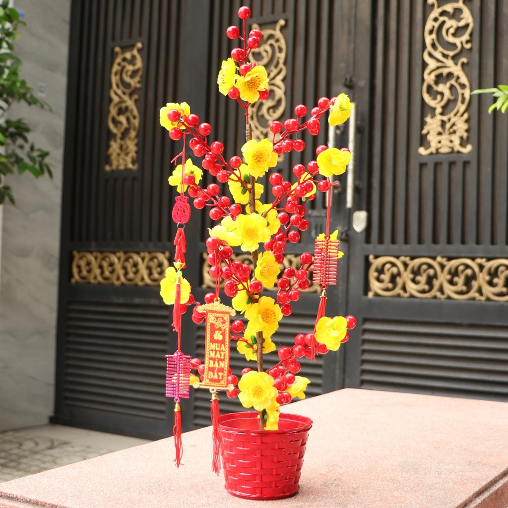 Chậu cây sắc đỏ vàng trang trí tết mừng xuân cao 50cm