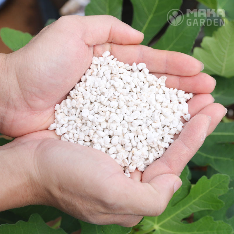 Đá Perlite Ficoco – Đá trân châu túi 500g