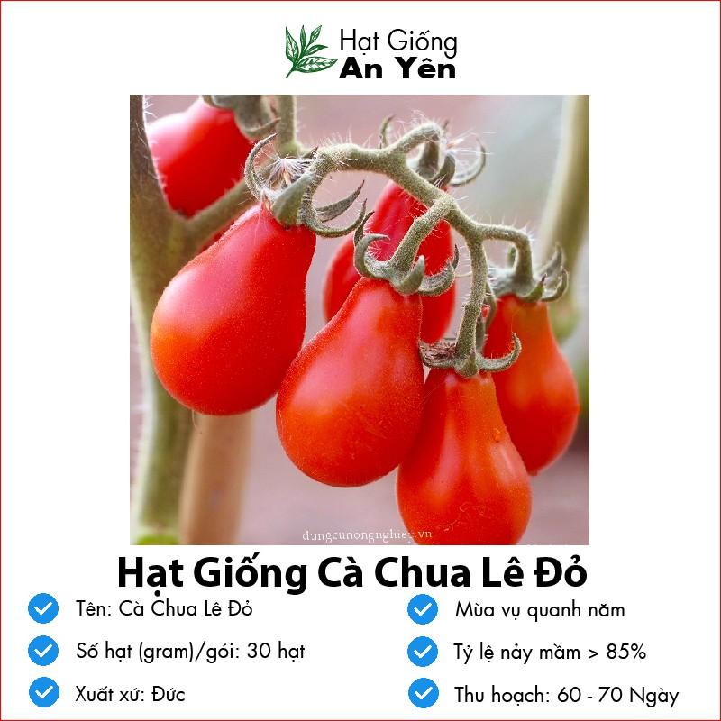 Hạt giống Cà Chua Cherry Lê Đỏ thu hoạch sớm, dễ trồng, nảy mầm cao, sinh trưởng khoẻ