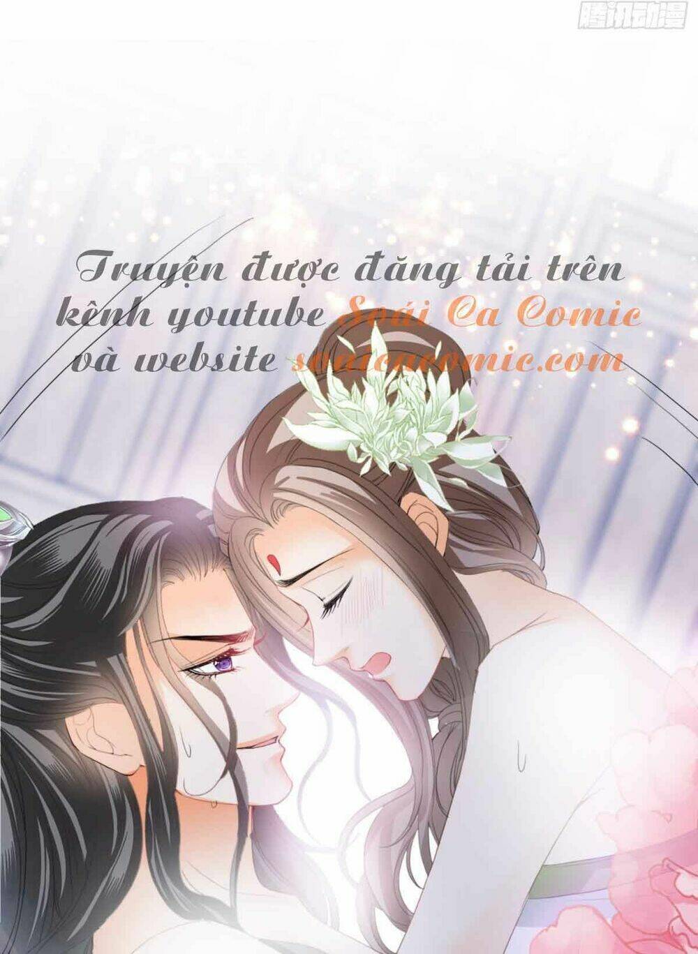 bổn vương muốn nàng chapter 73 11