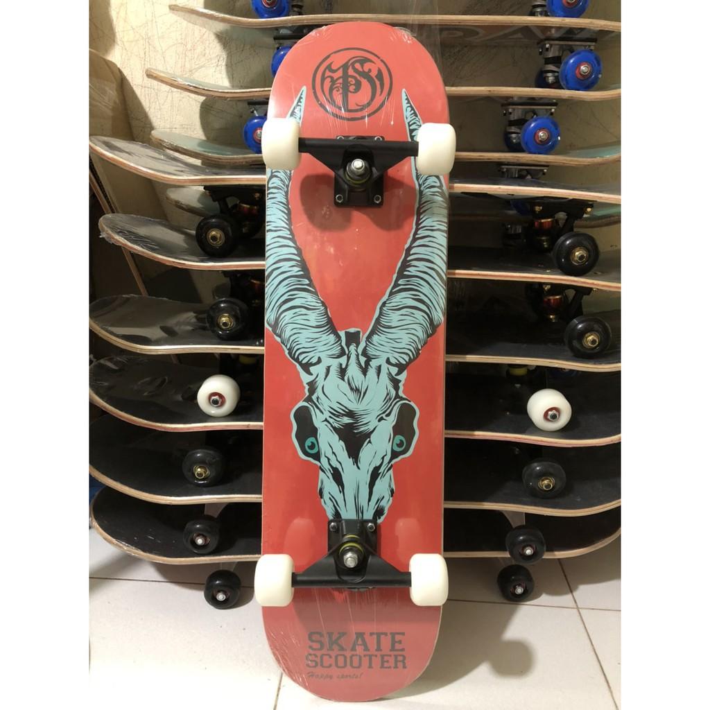 Ván trượt Skateboard Cao Cấp - Đẳng Cấp QUỐC TẾ