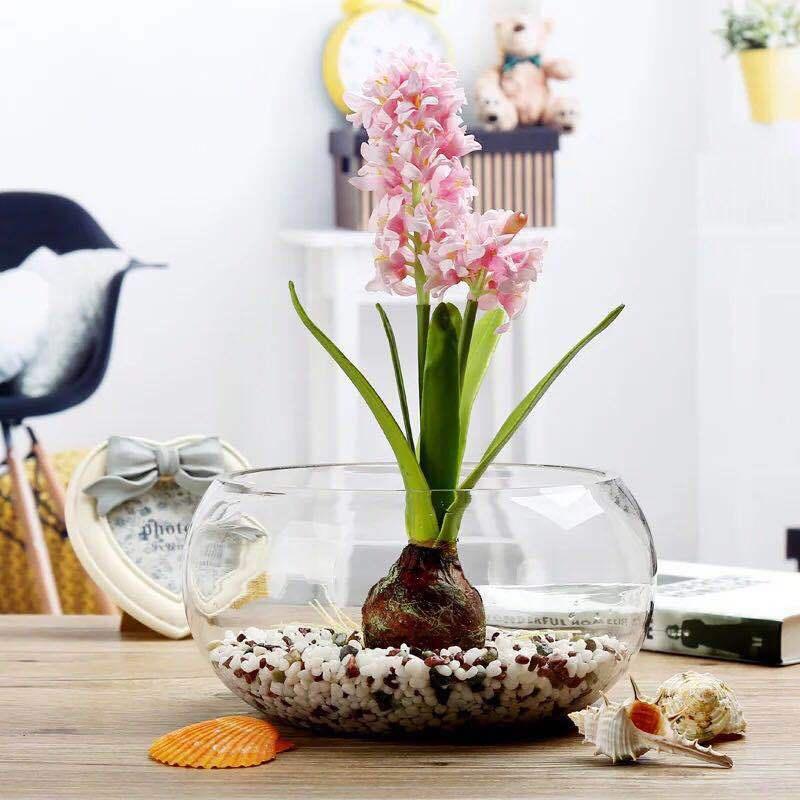 Chậu thủy tinh tròn thấp đường kính 20 cm nuôi cá cảnh nhỏ, trồng cây thủy sinh, mix tiểu cảnh terrarium