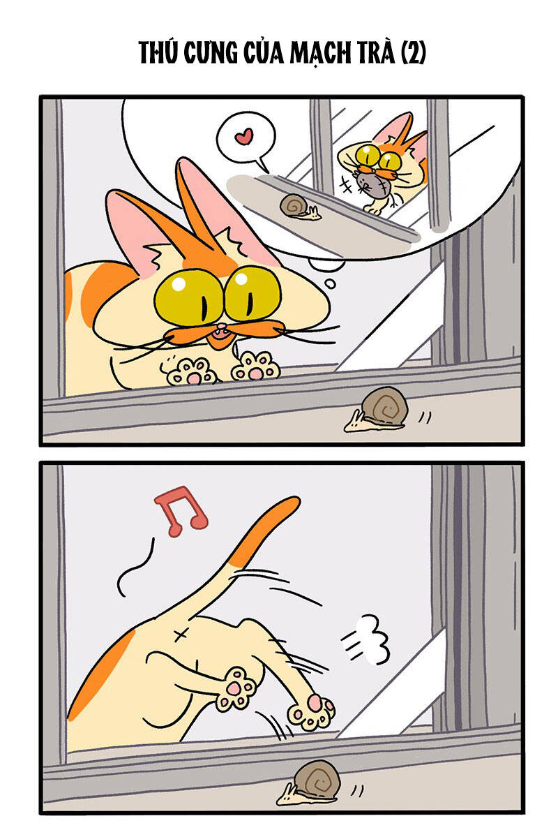 a mãn và mạch trà chapter 29 3