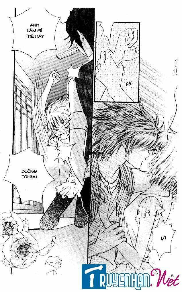 thiên thần bảo hộ chapter 23 5