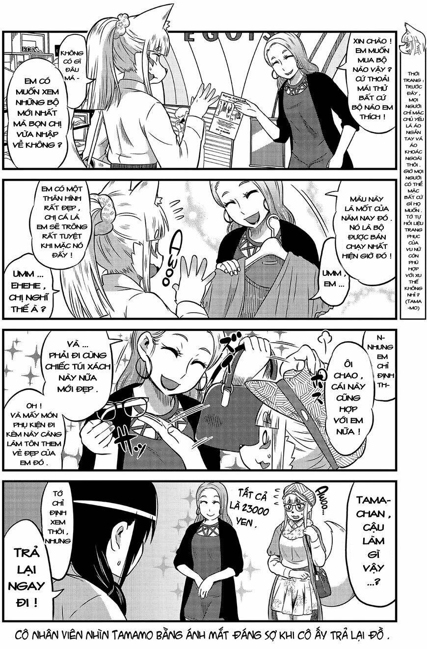 high school inari tamamo-chan ! chapter 8 7