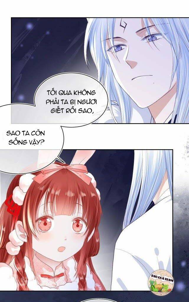 hắc hóa nam chính trực tuyến nuôi thỏ chapter 4 21