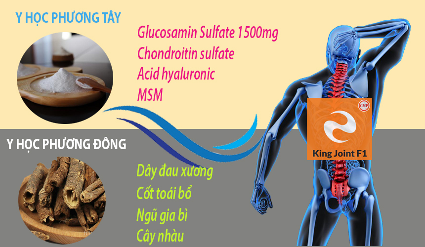 Viên xương khớp KingJoint F1 Glucosamin cùng thảo dược thiên nhiên hỗ trợ giảm triệu chứng đau xương khớp, tái tạo màng sụn khớp