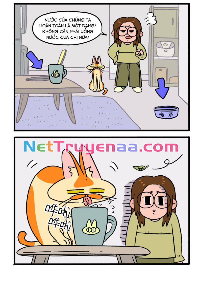 a mãn và mạch trà chapter 26 4