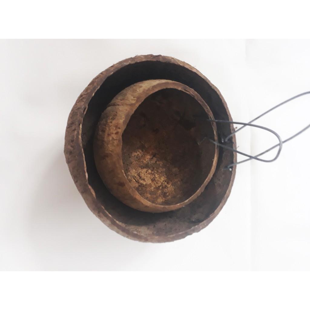 Gáo Dừa Cho Gà Ăn, Gáo Dừa Để Nước Uống Cho Gia Cầm - Phụ Kiện Gà