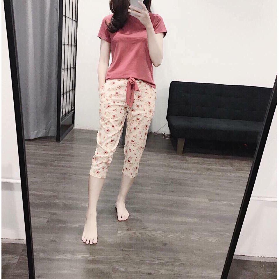 Bộ nữ quần thô áo trơn hót hít BDHL01