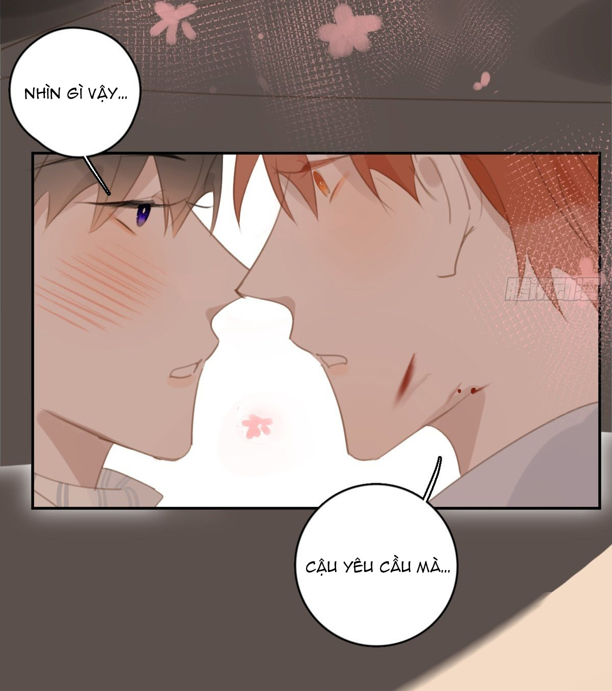 đêm đầy sao nói với em chapter 56 43