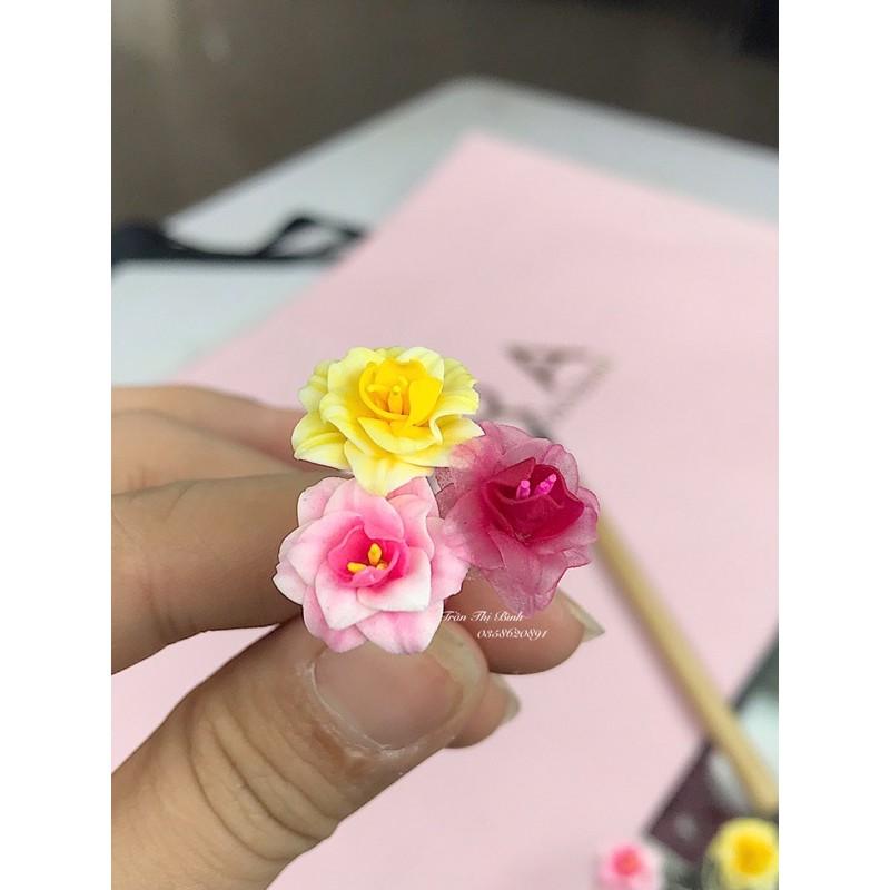 Hoa bột nail - Hồng gân