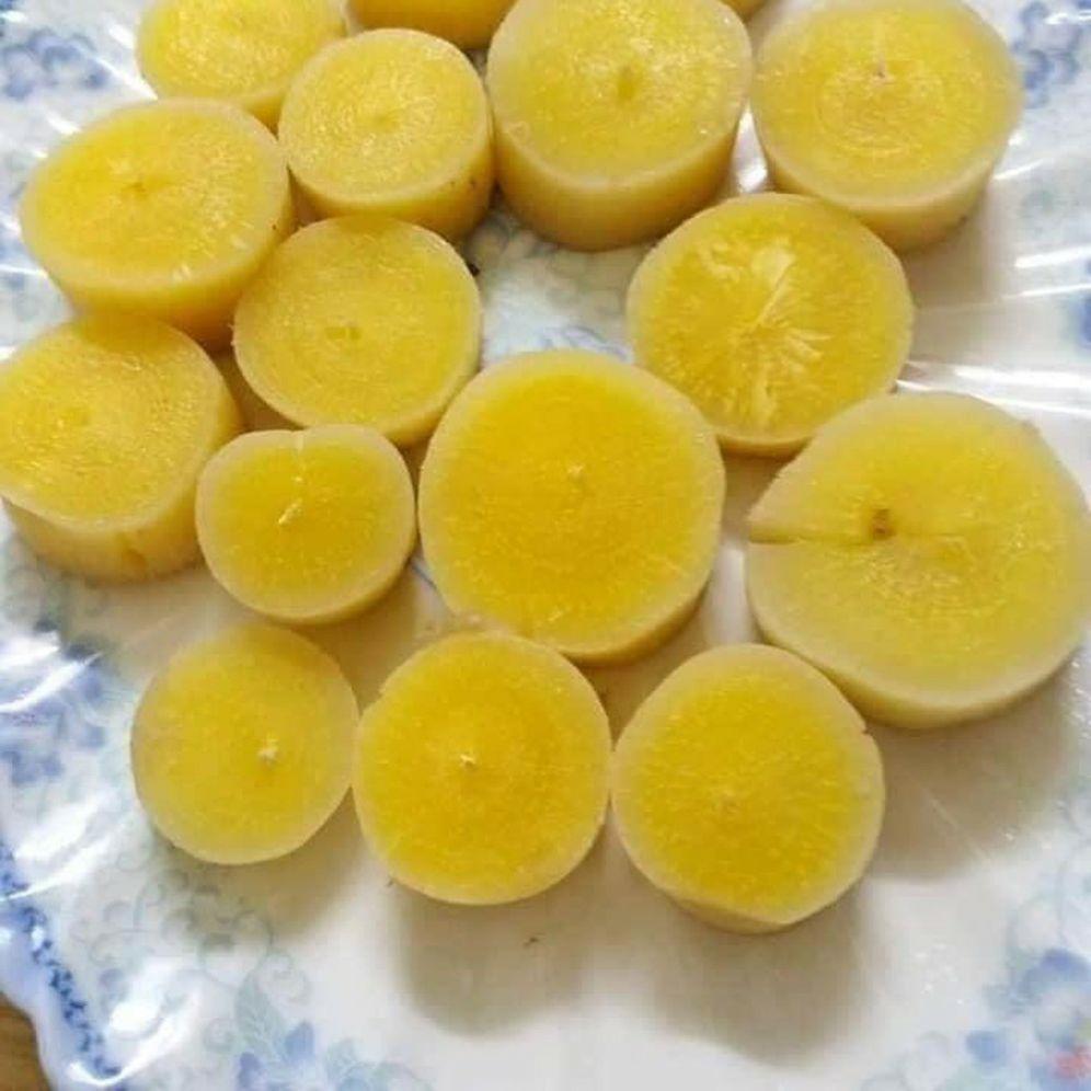 Set 3kg giống khoai mì ruột vàng