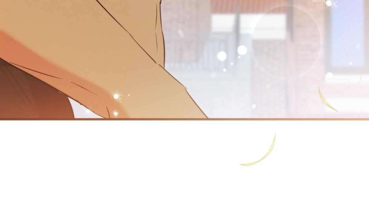 những chú thỏ của hapypy chapter 53 165