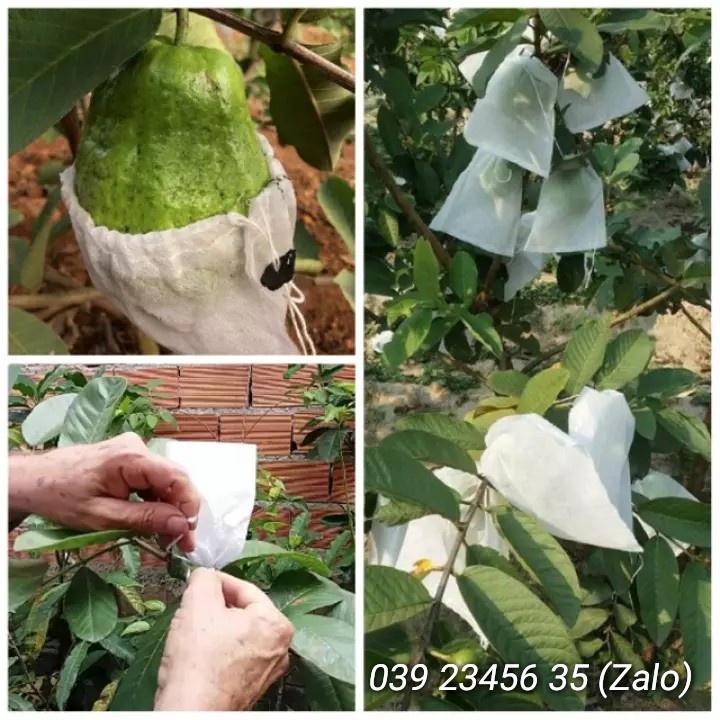 100 CÁI TÚI BAO BỌC ỔI, VÚ SỮA, HỒNG XIÊM, MẬN CHẤT LIỆU VẢI TỐT KÍCH THƯỚC 18*20