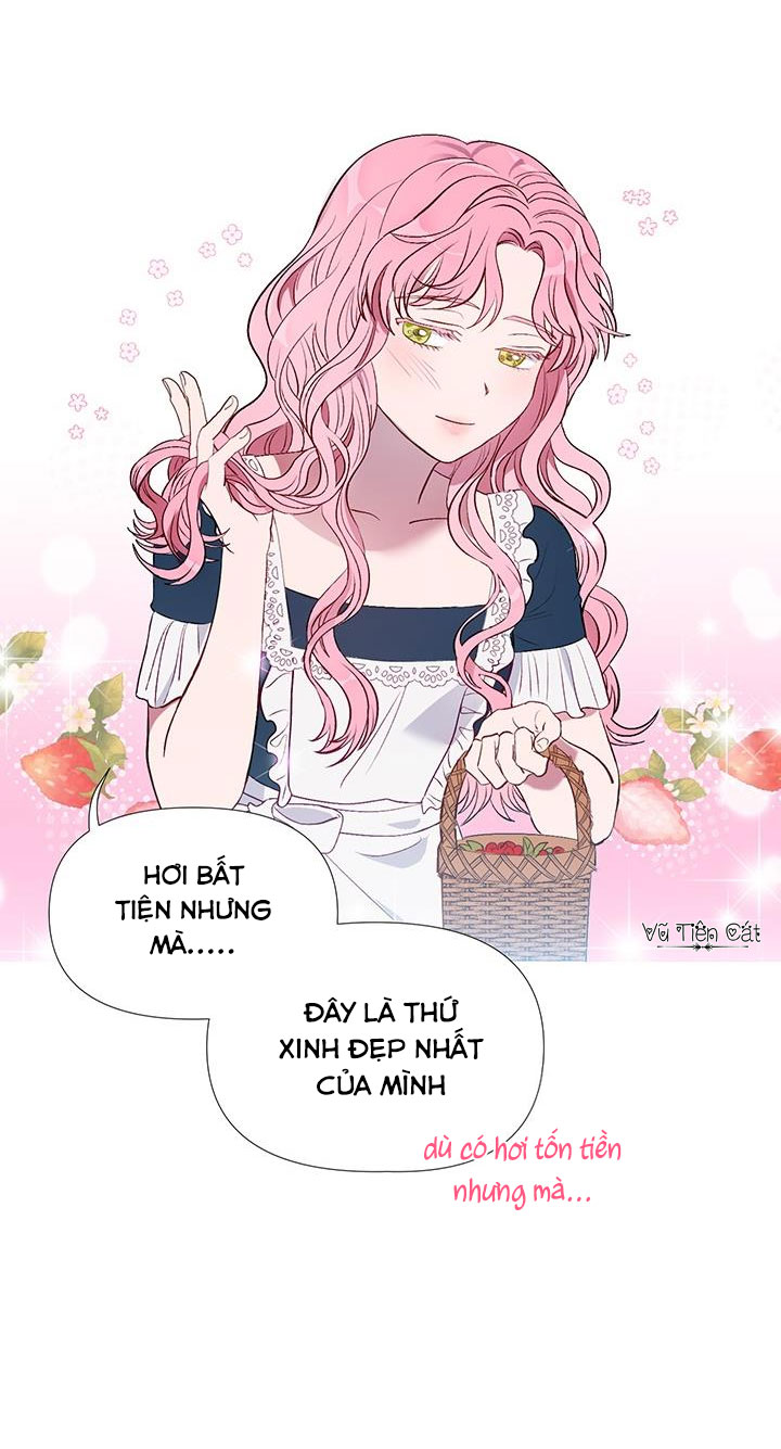 elizabeth chapter 1 28