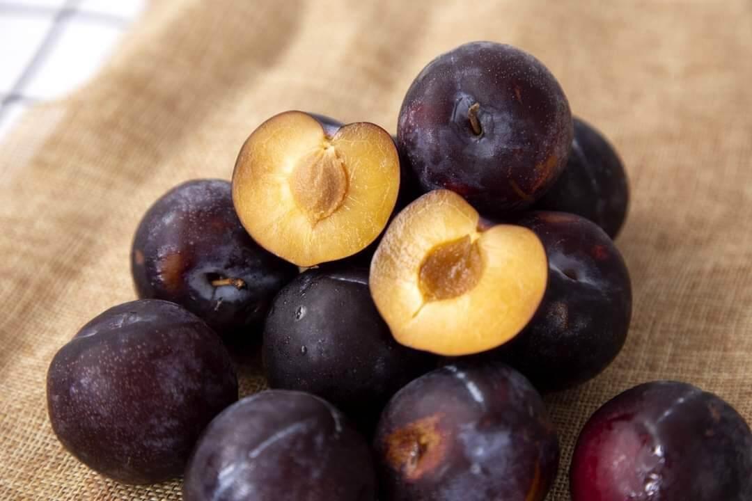 Cây giống mận úc đen siêu sớm