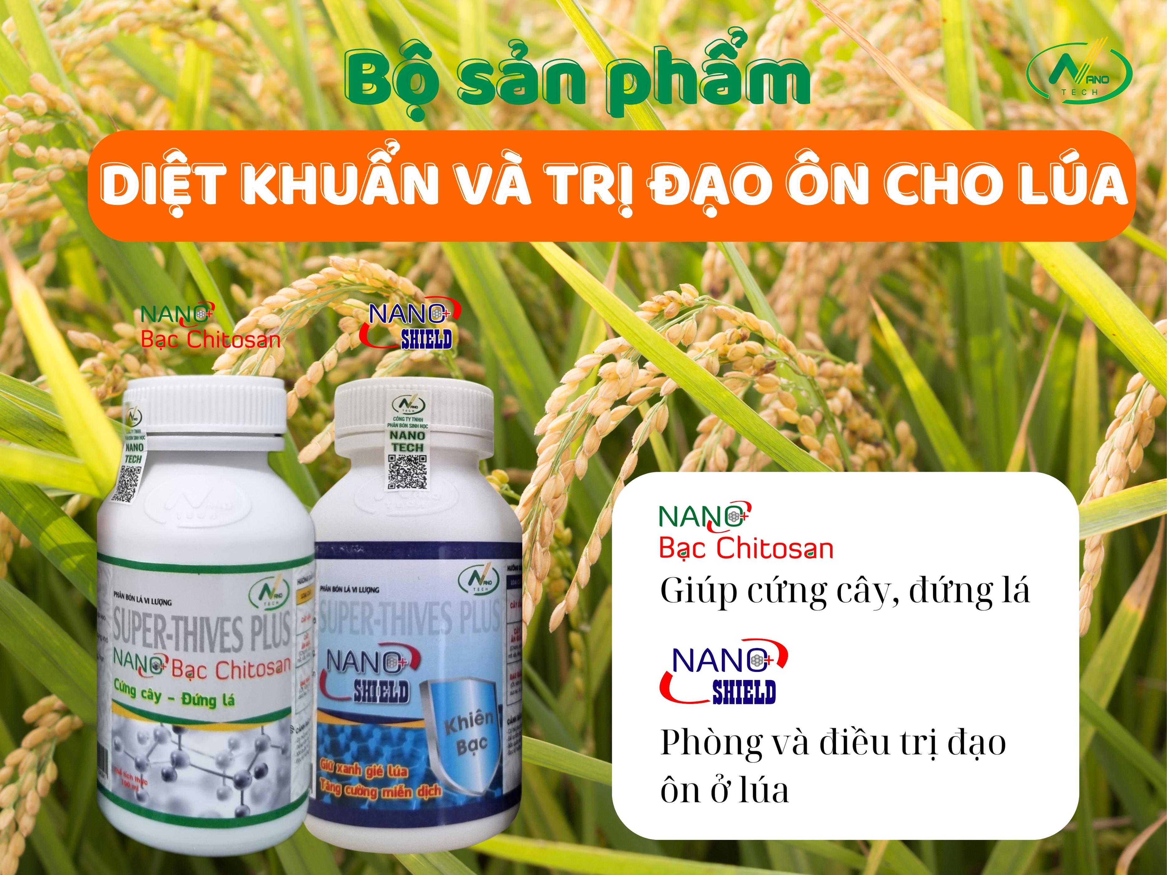 Bộ sản phẩm DIỆT KHUẨN VÀ TRỊ ĐẠO ÔN cho lúa hiệu quả và tiết kiệm chi phí