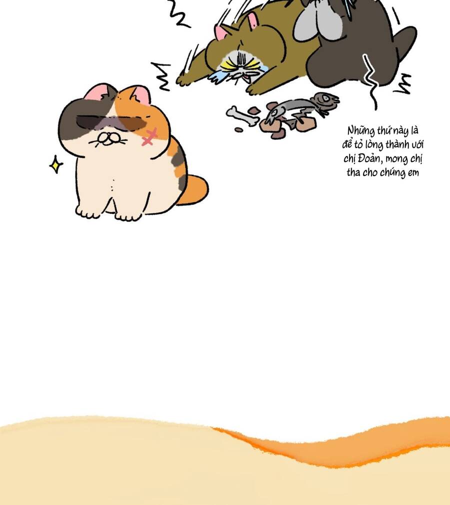 a mãn và mạch trà chapter 167 5