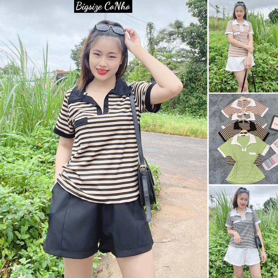 BIGSIZE 58-90KG Áo thun tay ngắn bigsize nữ cổ bẻ sọc tay ngắn dáng dài, Áo phông oversize sang chảnh CB SOC