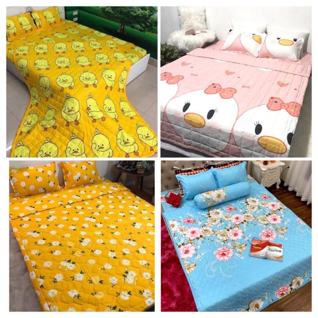 Sỉ Bộ Chăn Hè Ga Gối Kèm Vỏ Gối Ôm set 5 món Sally Mẫu CARO 4 MÀU
