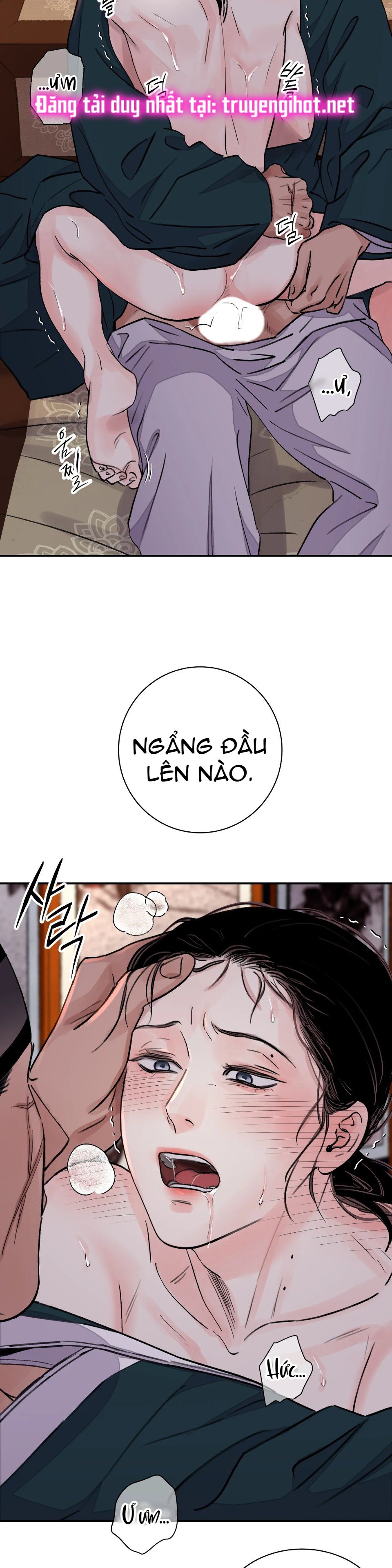 [18+] trượng kiếm tựa hoa chapter 22.1 8