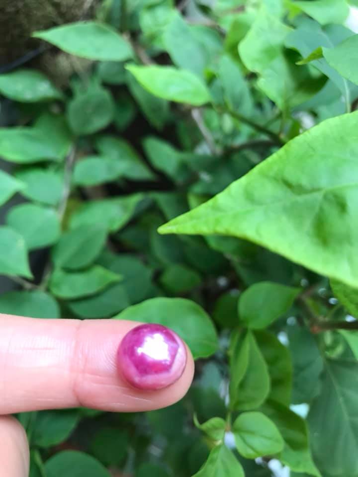 VIÊN ĐÁ RUBBY HỒNG TRÒN ĐẸP NHƯ BÔNG HOA PHÍA TRÊN VIÊN ĐÁ TRÒN DẦY ĐẸP LẮM LUÔN LÀM MẶT NHẪN DÂY CHUYỀN Size DÀI 12mm X NGANG 11mm x DẦY 7mm