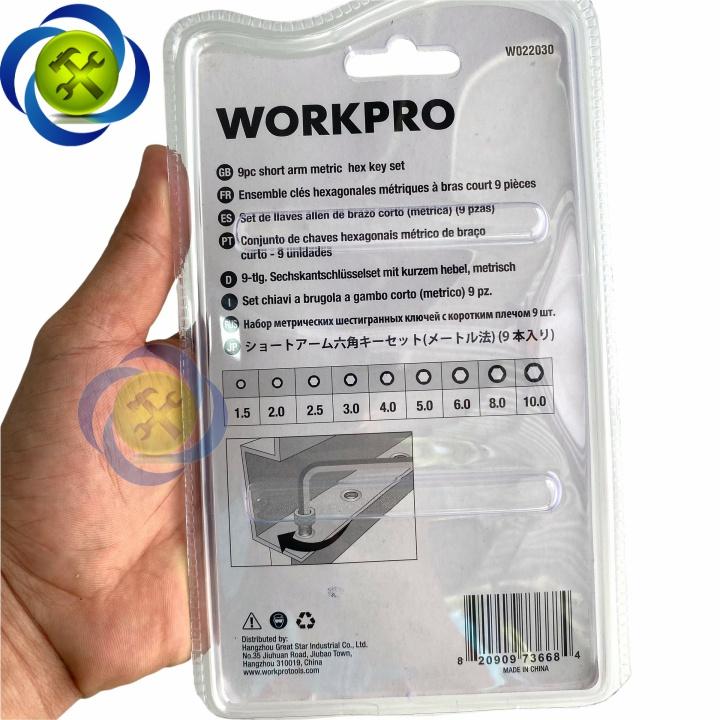 Bộ lục giác ngắn đầu bằng WORKPRO W022030 có 9 cây hệ mét 1.5-10mm