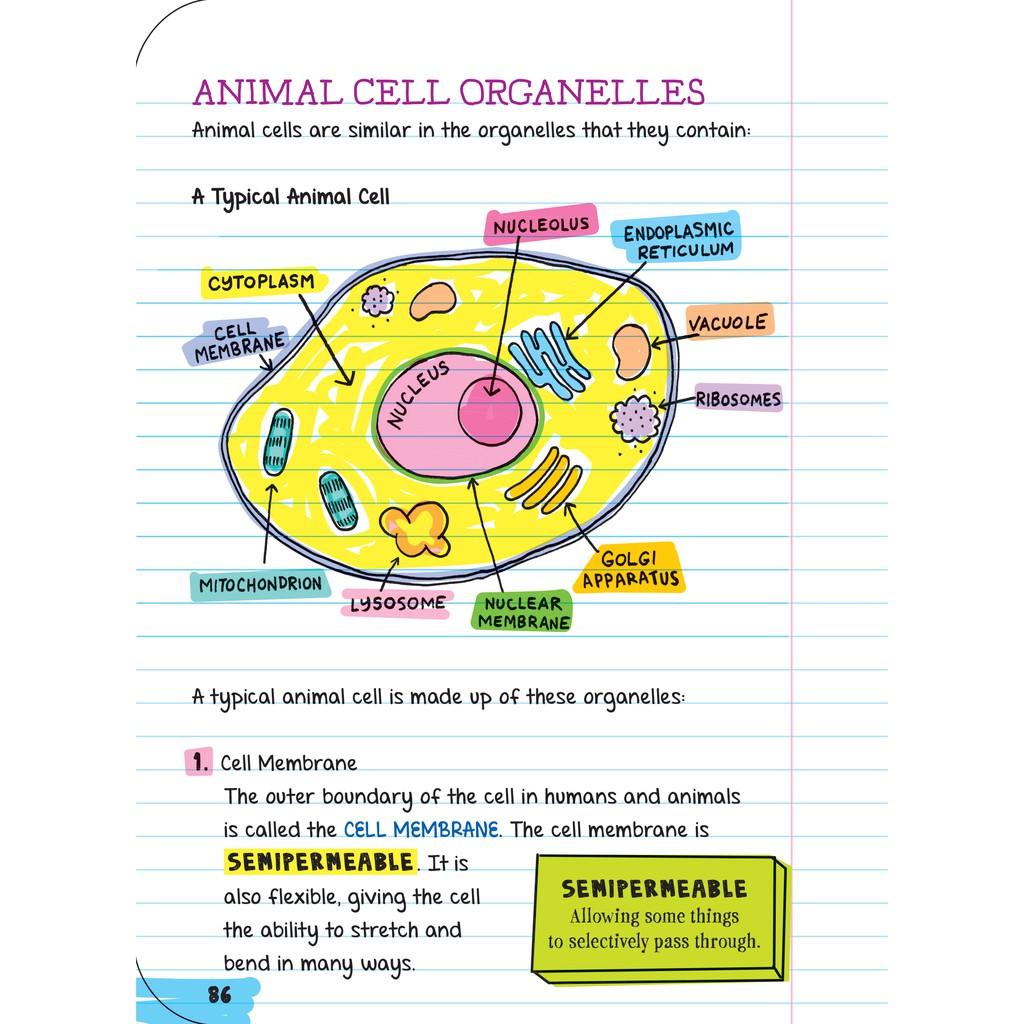 Sách everything you need to ace biology, sổ tay sinh học