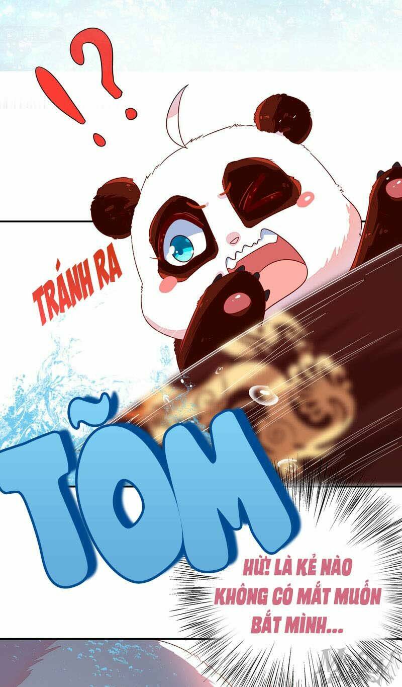 thiên thần gấu trúc muốn được ôm chapter 46 16