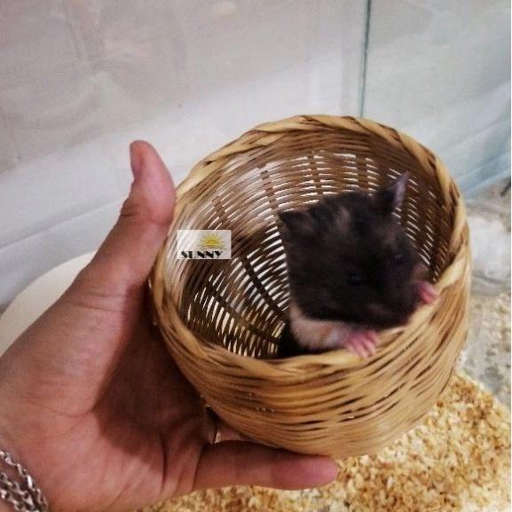 Tổ ngủ bằng tre LỚN vừa tới 2 hamster bears trưởng thành