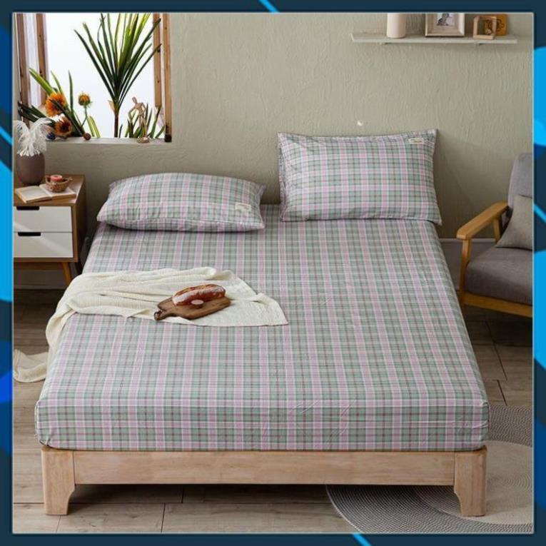Bộ ga giường và vỏ gối cotton tici kẻ - set ga gối cotton - drap giường