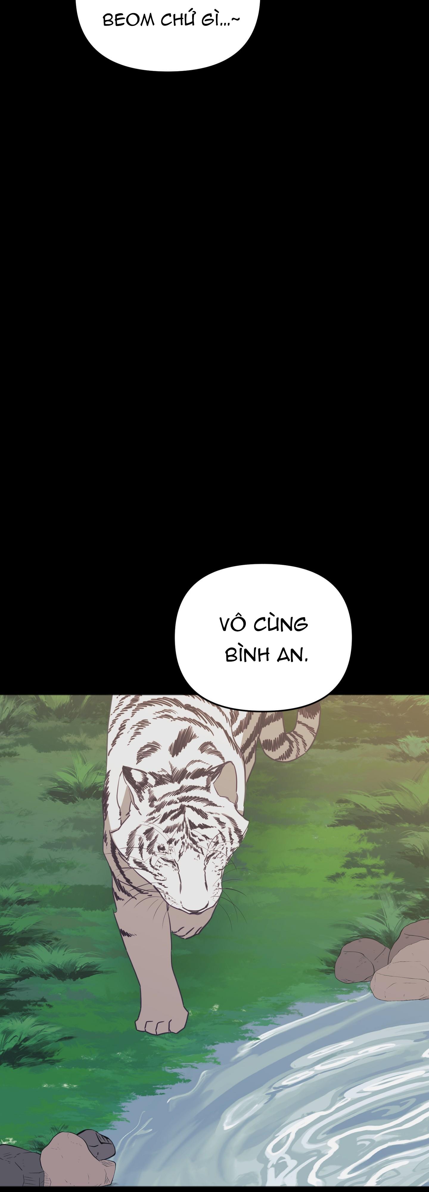 hổ trở về chapter 41 52