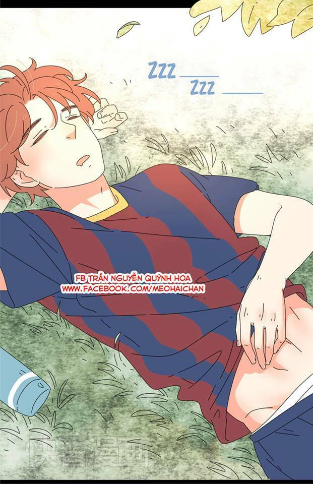 quỷ nhát gan và mã đại cáp chapter 1 5