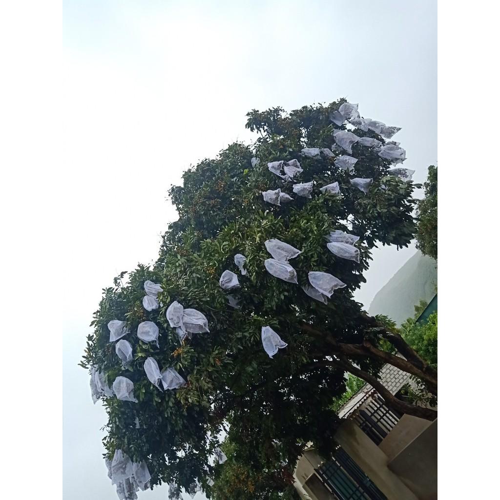 100 CÁI TÚI BAO ,BỌC BƯỞI ,DƯA LƯỚI ,NHO,NHÃN ... KÍCH THƯỚC 35*40