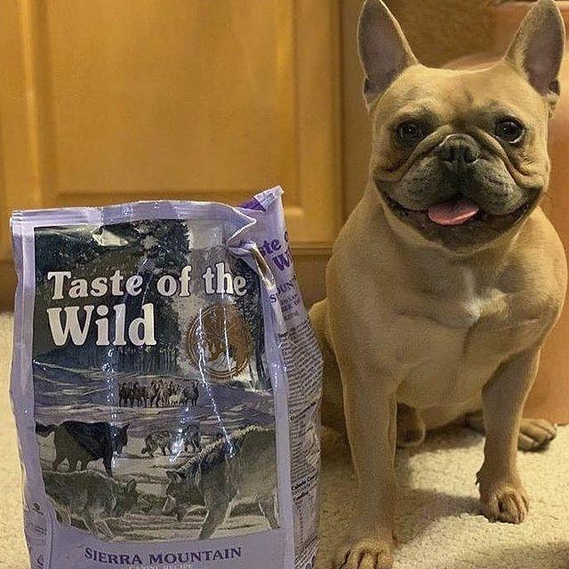 Thức Ăn Cho Chó Pug Taste Of The Wild Hỗ Trợ Da Lông Bao 2kg - Sierra Mountain Thịt Cừu, Trái Cây Rau Củ Quả