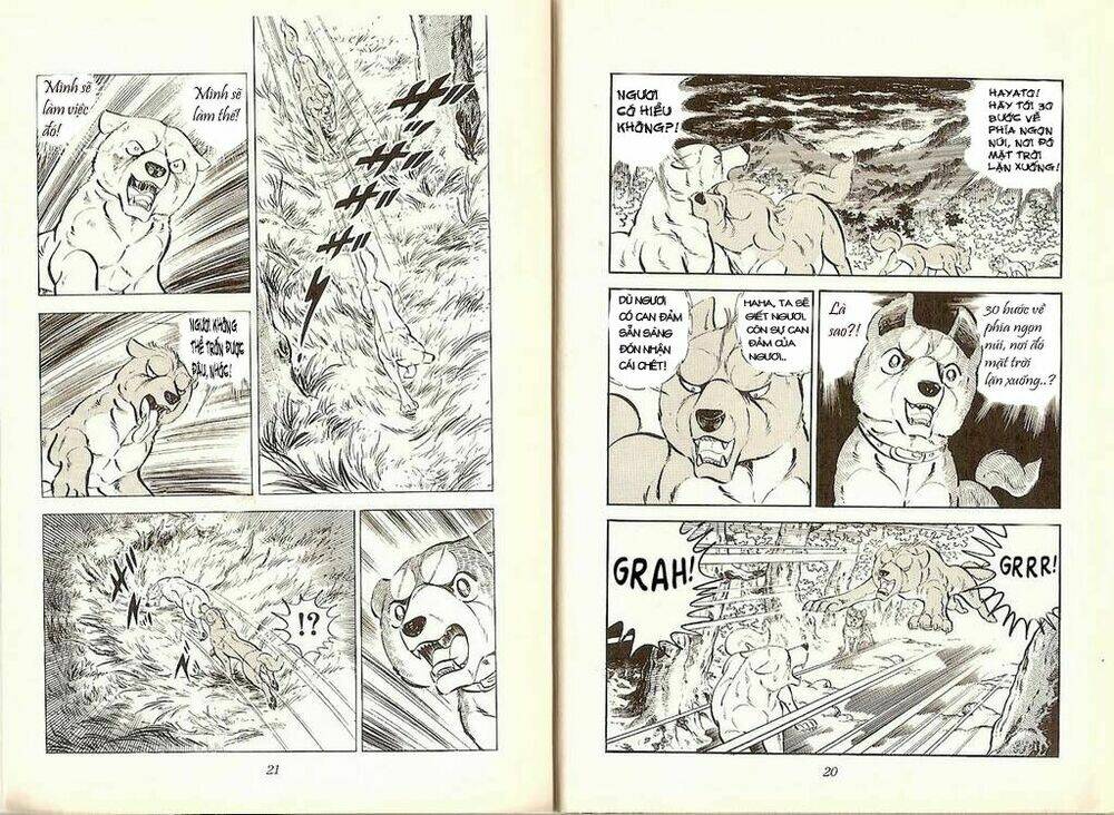 chú chó có nghĩa - ginga nagareboshi gin chapter 19 9