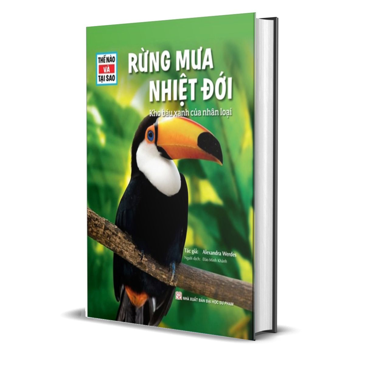 Thế Nào Và Tại Sao - Rừng Mưa Nhiệt Đới