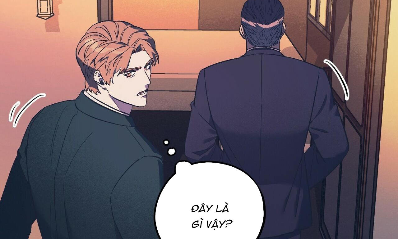 chàng dâu nhà họ kang chapter 14 13