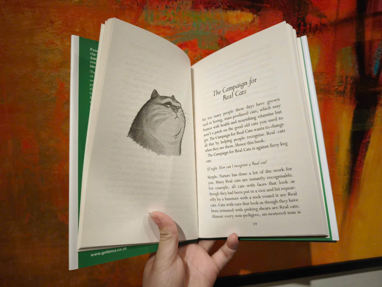 Sách - The Unadulterated Cat: The Amazing Maurice Edition by Terry Pratchett - Humor/ Fantasy in English
