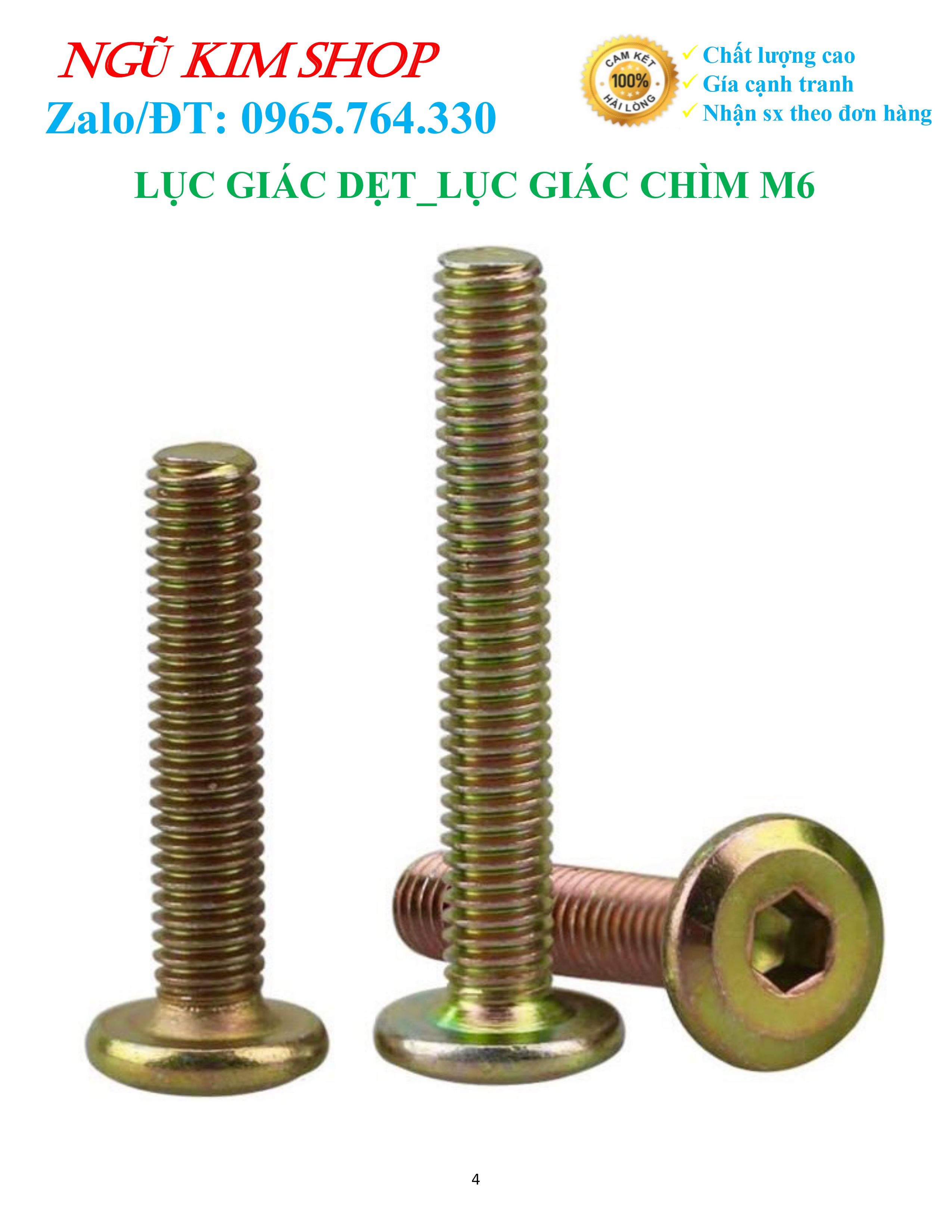 LỤC GIÁC DẸP _ BULONG LỤC GIÁC CHÌM M6 x L