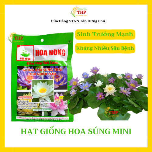 Hạt giống Hoa Súng Thái Mini Nhiều Màu | Hạt Giống | gói 5 hạt