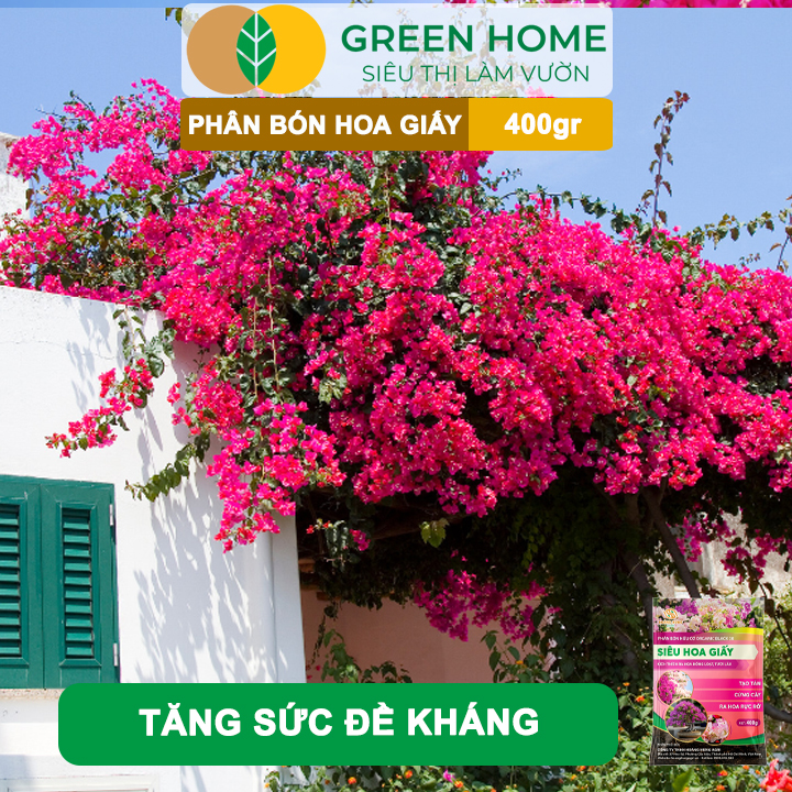 Phân Bón Hoa Giấy GreenHome, Bao 400gr, Hữu Cơ, Ra Bông Nhiều, Lâu Tàn, Giúp Thân Cứng Cáp, Tạo Tán