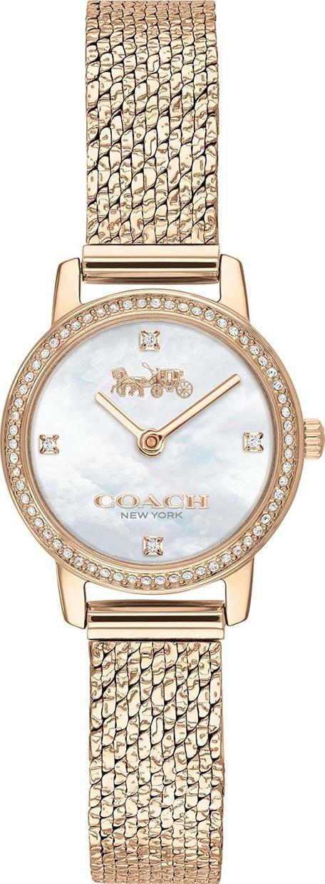 Đồng Hồ Nữ Đính Swarovski Dây Lưới Coach 14503370 (22mm)