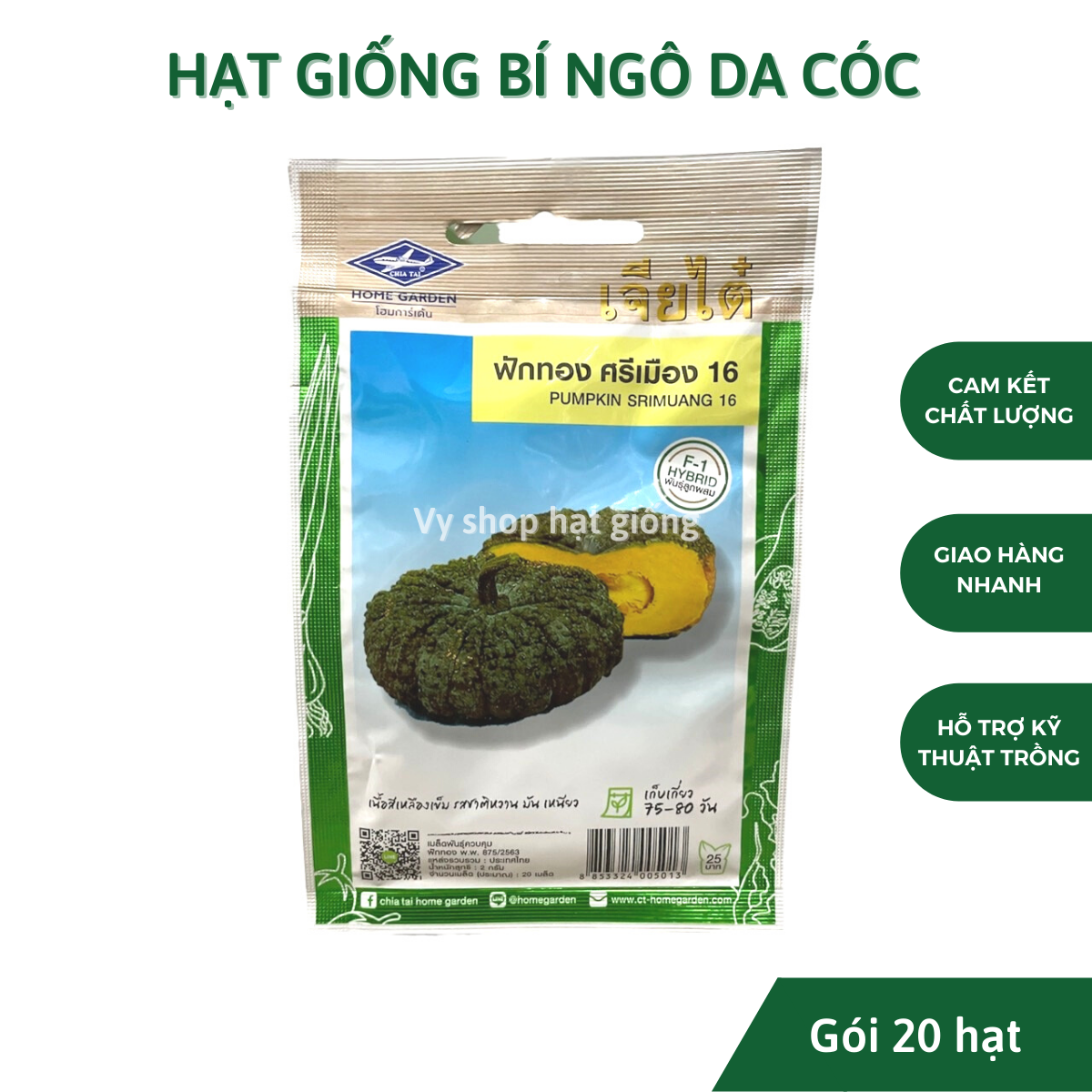 Hạt giống bí ngô da cóc Thái Lan