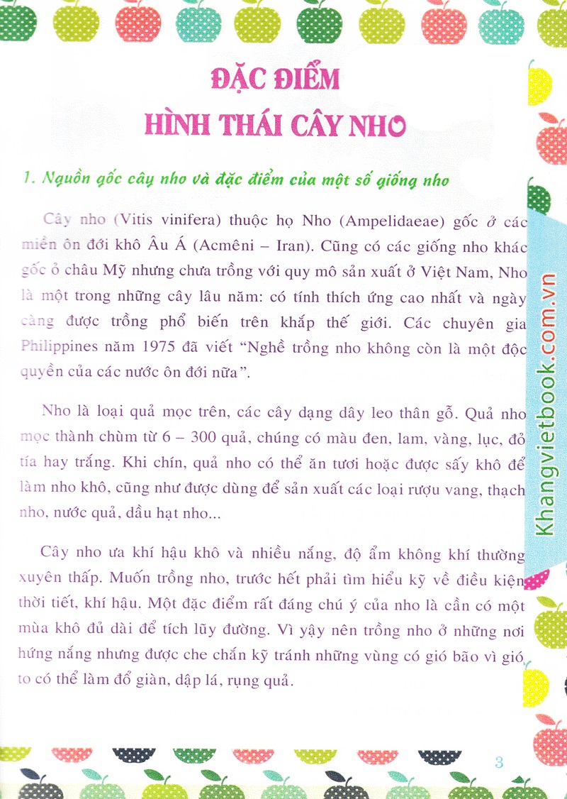 Bí Quyết Thành Công Kĩ Thuật Trồng Nho Hiệu Quả - KV