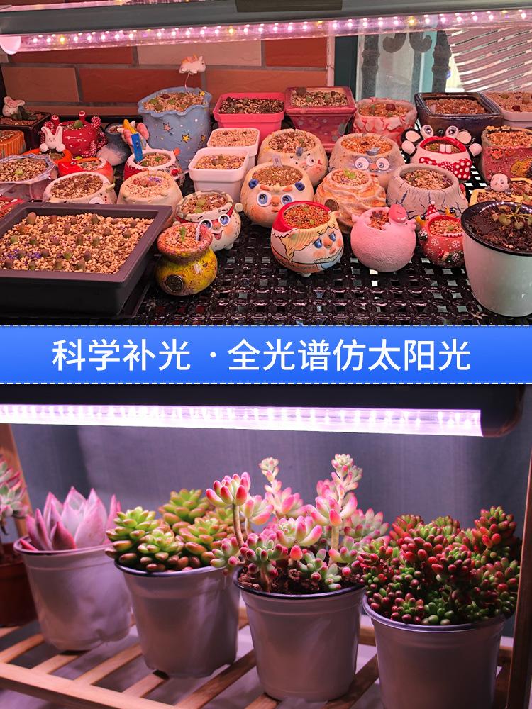 Giao hàng nhanh mọng nước lấp đầy ánh sáng led tăng trưởng thực vật ánh sáng đầy đủ trong nhà hộ gia đình giả ánh sáng mặt trời tô màu công suất cao