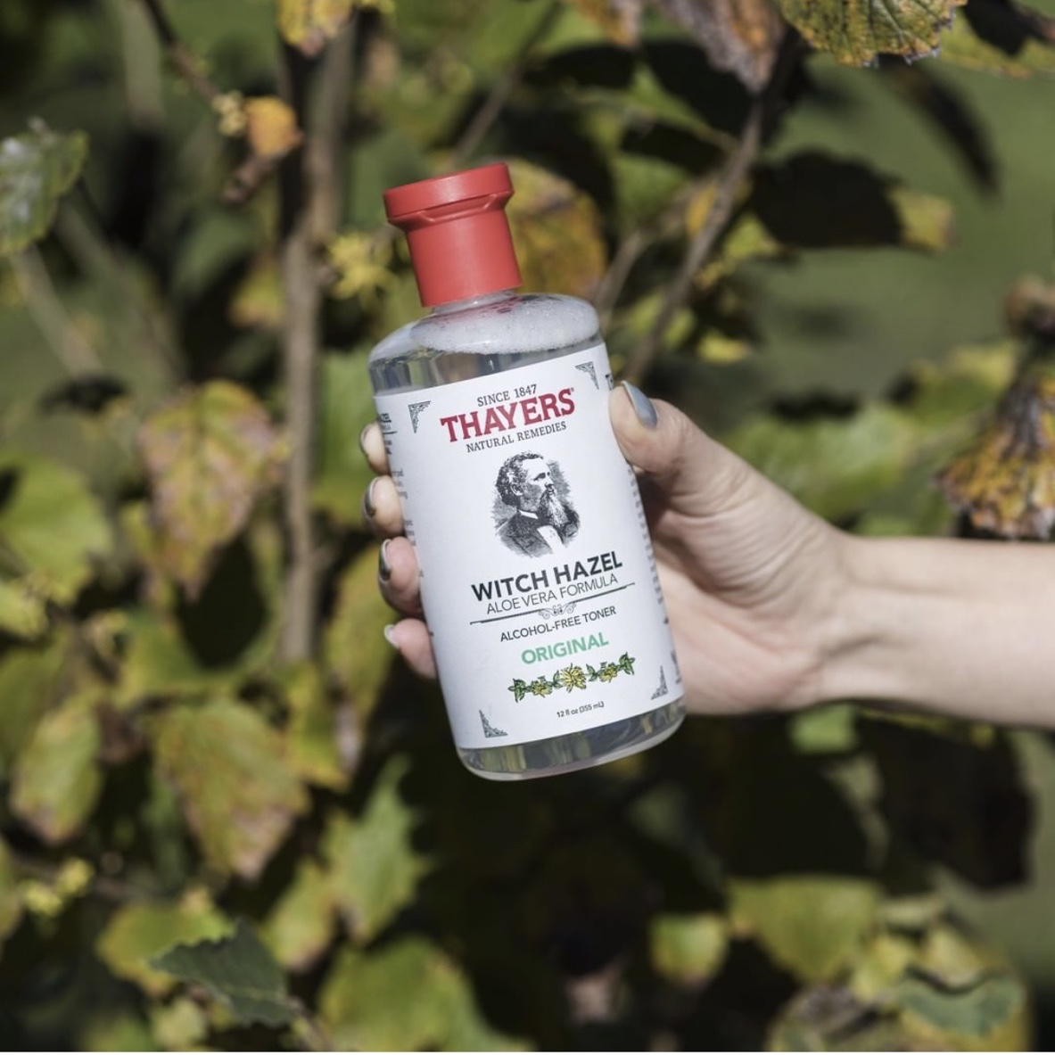 Nước hoa hồng THAYERS Alcohol-Free Original Witch Hazel Toner 355ml (Không cồn - Dành cho mọi loại da)