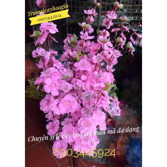 Hoa anh đào hàng có sẵn - Hoa Giả